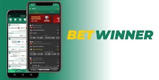 Expert Insights on BetWinner Customer Support